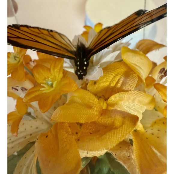 Vintage 1970s Real Monarch Butterfly Display Taxidermy Acrylic Case Decor - Picture 11 of 13